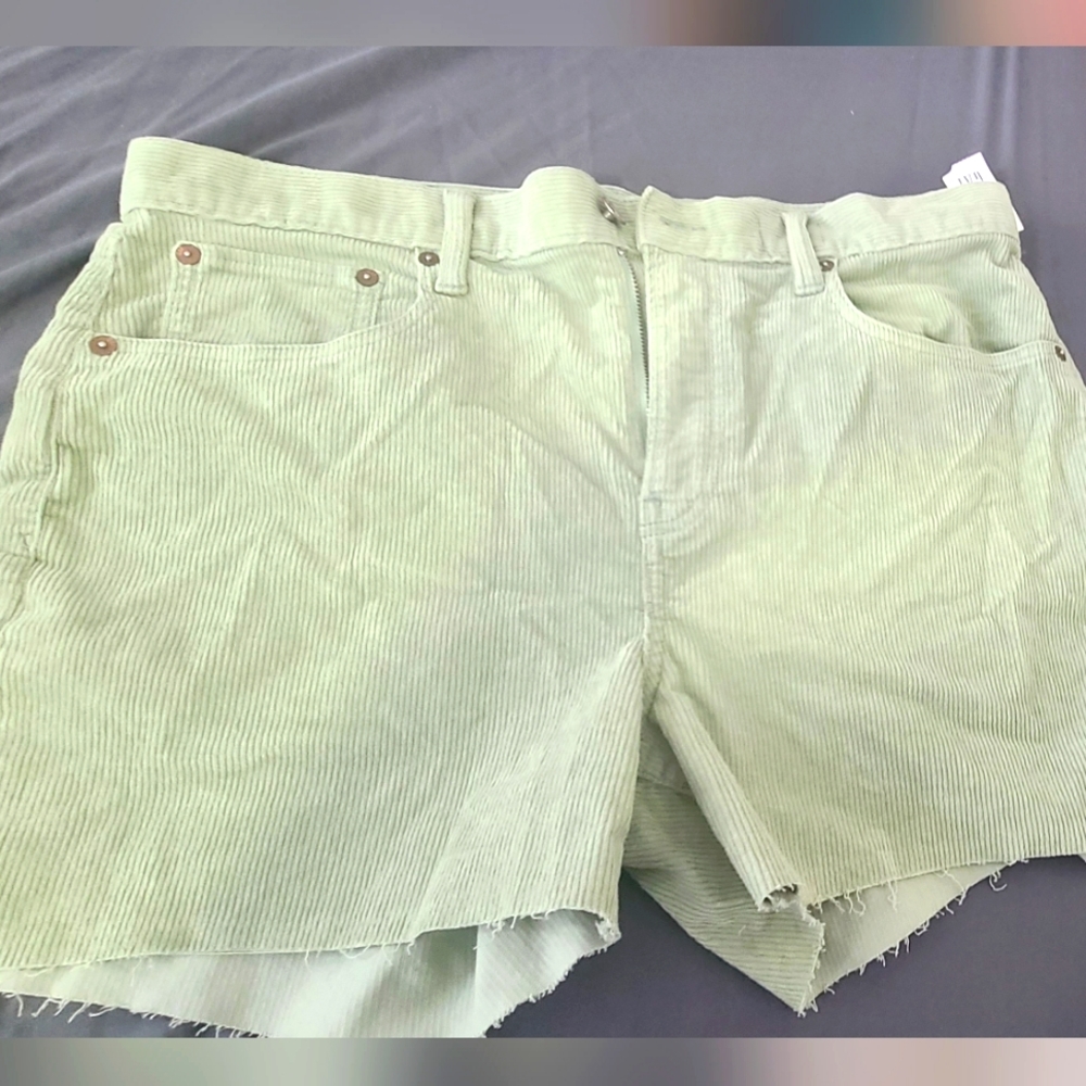 🌟NWT🌟 Womens Gap size 12 Green Shorts